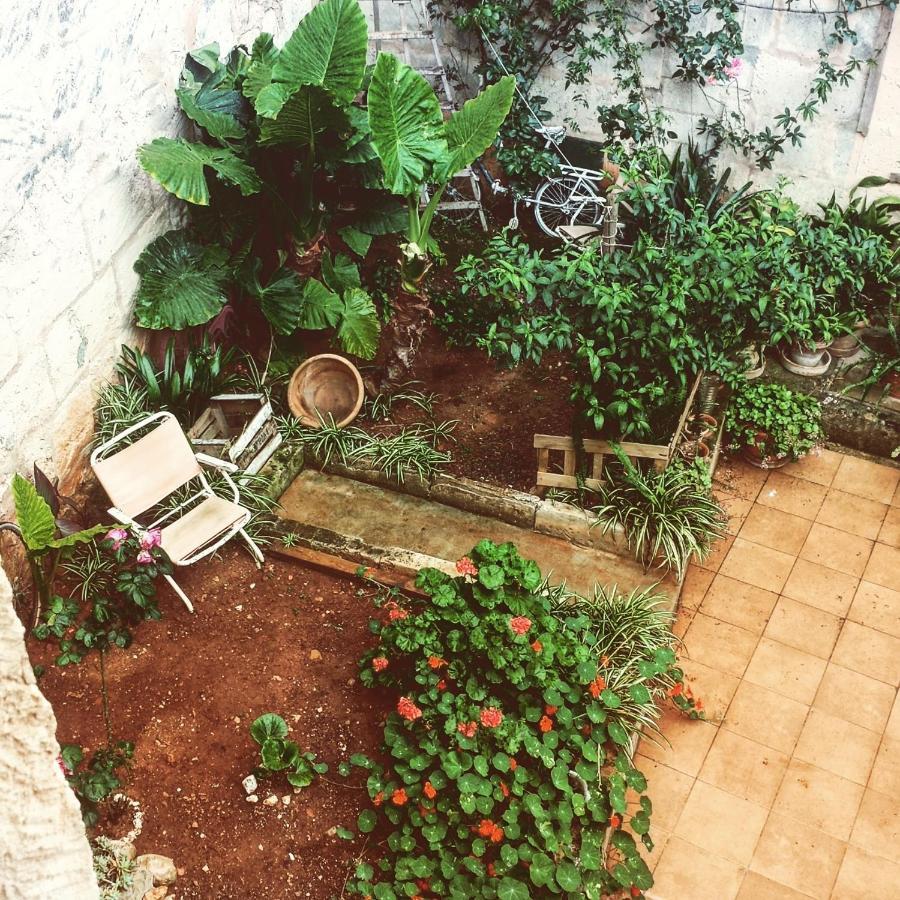 Bed and Breakfast Sa Madona De Sa Pleta Муро Екстер'єр фото